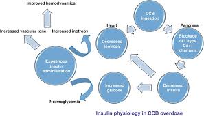 Image result for Calcium Channel Blocker Overdose