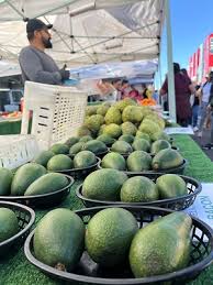 Image result for Light Avocado 1983 Fedders