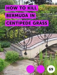 Pin On Lawn Maintenance