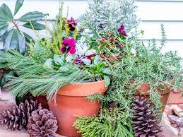How to create a winter garden. Create A Winter Container Garden Hgtv
