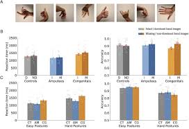 If you know anything about what we teach here at gmb, you know we're all like i said in the video, i'm not a professional hand balancer. Motor Control Drives Visual Bodily Judgements Sciencedirect