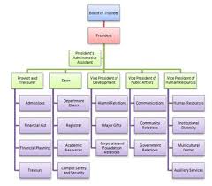 what is an organogram definition structure example