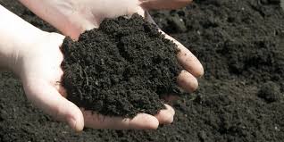 It is generally not recommended that you entirely replace the soil in your lawn or garden, but additional soil is sometimes necessary if you intend to extend your garden or create raised beds. Screened Topsoil Uses For Your Lawn And Garden Dirt Connections