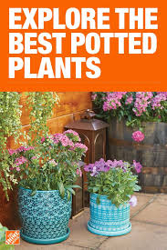 Pin On Garden Club