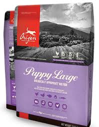Orijen dog food is manufactured in the company's own dogstar kitchens located on 85 acres of farmland in auburn, kentucky in the united states of it is also low in processed carbohydrates and starches. Orijen Puppy Large Breed Dog Food Furchild