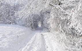 Nature Landscapes Winter Snow Snowing Snowflake Snowfall Roads Trees Forest Storm Blizzard White Seasons Tunnel Wallpaper Background