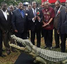 Image result for zimbabwe is a country in the jaws of the crocodile