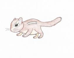 Draw this cute chipmunk by following this drawing lesson. Baby Chipmunk Akakody