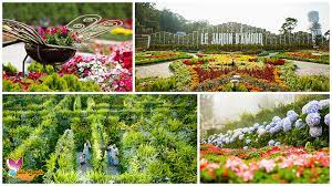 With variety of flowers in sight you will enjoy the view of the beautiful garden. Visit The Paradise Of Flowers Le Jardin D Amour Flower Garden Asia Travel Leisure