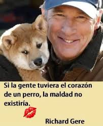 Conciertos Ecuador (@conciertos_ecuador) · Instagram 照片和视频