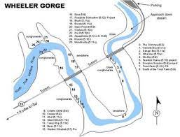 It is a relatively short loop that leads through thick vegetation along the creek banks and to a hillside view of the area. Rock Climbing In Wheeler Gorge Central Coast