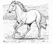 Multiplication ce2 a imprimer magique multiplication htmltranslate this. Coloriage Cheval En Couleur Dessin Gratuit A Imprimer