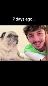 Blud spoke too soon #fyp #bosley #fazerug #faze #rip #dog #blowthisupforme  #blowthisup #pappiiloso