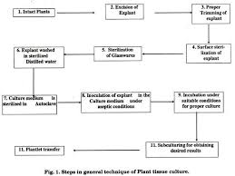 Which Of The Following Shows The Correct Sequence Of Steps