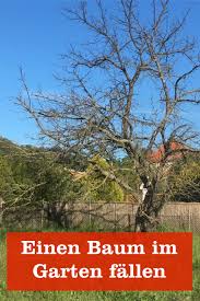 Bäume im garten sind willkommene schattenspender an heißen tagen, nistplätze für vögel oder attraktive bienenweide. Baum Fallen Gartenbob De Der Garten Ratgeber