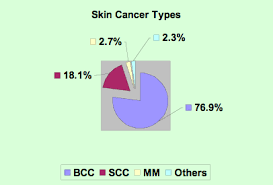 chart 2 prevalence of skin cancer by pathological types