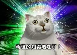 自营 三利浴巾a类加厚纯棉男女通用浴巾 tmall com天猫 wedding dresses dresses fashion