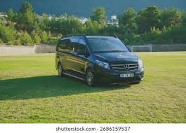 Image result for Sanidin Beuge 2017 Vito