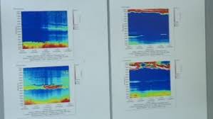 Editura didactic i pedagogic bucureti 2006. Facultatea De Stiinta Si Ingineria Mediului Digi24