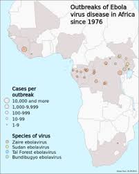 The 2014 ebola virus epidemic in west africa has implications for the world. Ebola Wikipedia