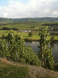Mosel Around The Worlds Amazing Nature Wine Region
