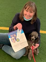 Download it once and read it on your kindle device, pc, phones or tablets. Silvabirch Poodles Posts Facebook