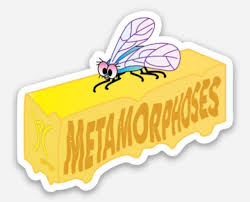 From afar, this butterfly looks almost identical to a leaf. 38 Hilarious Butterfly Puns Punstoppable