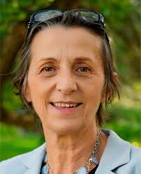 Nano Kirkendall Effect Related to Nanocrystallinity of Metal Nanocrystals:  Influence of the Outward and Inward Atomic Diffusion