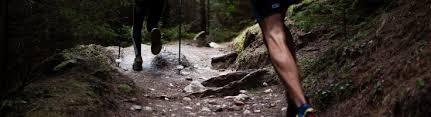 The 7 Best Exercises You Can Do To Improve Your Cardiovascular Health Southflcardio