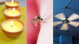 Though the theory is asserted by some and denied by others. 7 Natural Ways To Prevent Mosquito Bites Everyday Health