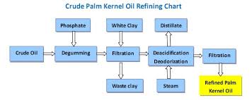 Palm Kernel Oil Refining Processing Machinery Find Edible