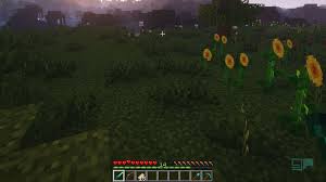 How to install minecraft mods using minecraft forge · quark · chisels & bits · camera mod · immersive portals · rlcraft · the twilight forest. Smp Minecraft We Show You Different Game Modes Gportal Wiki