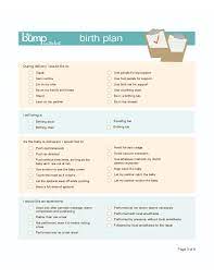 Sample Birth Plan Template Free Download