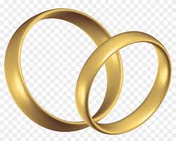What is a vector used for? Wedding Rings Png Clip Art Wedding Ring Transparent Png 5000x3797 505778 Pngfind