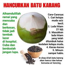 Ternyata ini manfaat air kelapa sering minum air kelapa muda di pinggir jalan ? Petua Hancurkan Batu Karang Dengan Air Kelapa Muda Dan Lada Hitam Semoga Bermanfaat Esulix Kencingmanis Diabetes Esulix With Cordyceps Herbal Formulation With Scientific Research Facebook