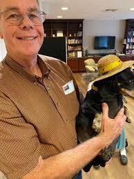 The Suburbs band and their music