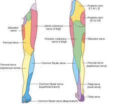 Cervical Radiculopathy Part 1 Clinical Presentation
