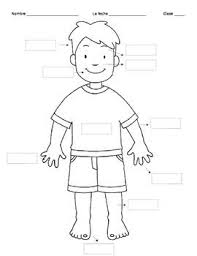 We did not find results for: 19 Parts Of The Body Ideas Body Learning Spanish Teaching Spanish