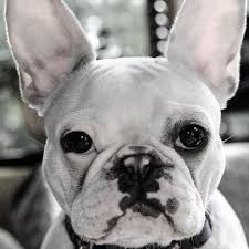 I Heard You Say Ball