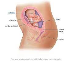 Pin On Pregnancy
