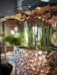 Free shipping on qualified orders. Pots And Vases Flowerfeldt Luxury Flower Pots And Planters Flowerfeldt