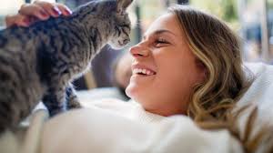 Once it has been determined that your cat is suffering from litter allergies, your veterinarian may recommend certain litters that do not contain the offending allergens. This New Cat Allergy Vaccine Promises To Help Sufferers But There S A Catch Her Ie