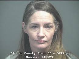 WILBURN, MEGAN MASHELLE Charges: DRUG/RECOVERY COURT SANCTIONS This  information and more is available https://apps.myocv.com/share/a95737804