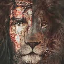 Image result for tbn:qO7wj5skszRxcM::img516.imageshack.us/img516/5782/untitled92of.png