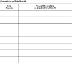 Skittles Science Fair Project Charts Chart Data Table