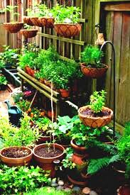 Perfect Container Gardening Ideas For Small Spaces Small Patio Vegetable Garden Id Garden Layout Vegetable Small Space Gardening Container Gardening Vegetables