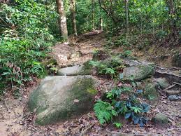 View other maps that greatruns has done or find similar maps in kuala lumpur. Hiking At Bukit Kiara Ttdi Dec 2019 Kyension Com