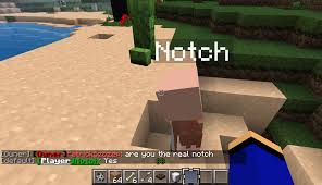 When the game was first being developed in java for the pc, the developer behind the game (markus notch persson) actually called it cave game. Notch