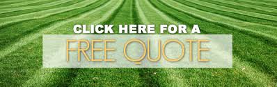 Lawn maxx services valparaiso pasta indekss 46383. Barbarossa Landscaping Lawn Service