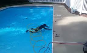 Install a new 20 x 40 inground gunite pool and patio as per plan and design specifications prepared for shoreline pools by w.m. Pool Design Pool Maintenance Pool Installation Pool Renovation Services Shoreline Pools Cape Cod